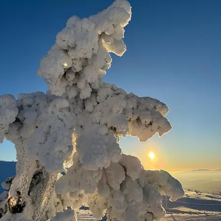 Apartamento Leviloma - 21m2 B - Levistar - Levistar Levi